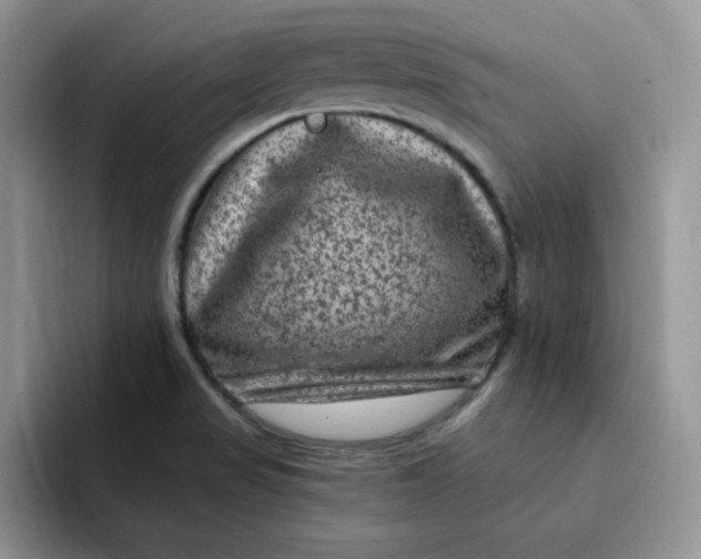 X0000091731517200709141215