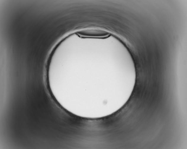 X0000091731518200709141215