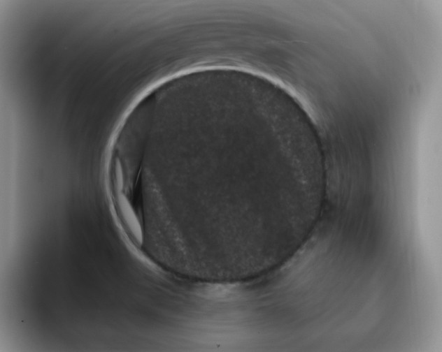 X0000091731519200709141215