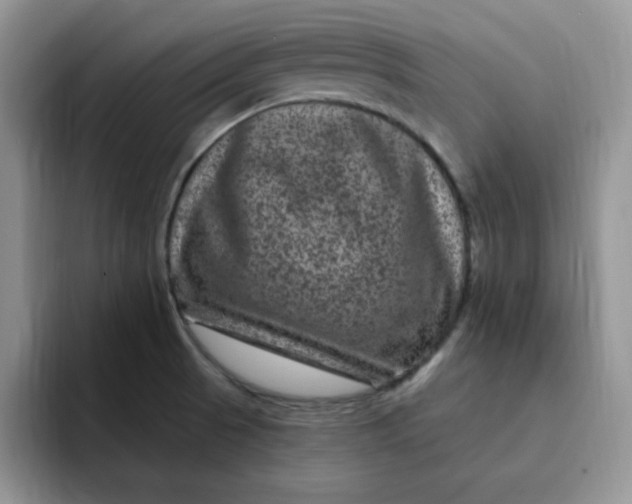 X0000091731521200709141215