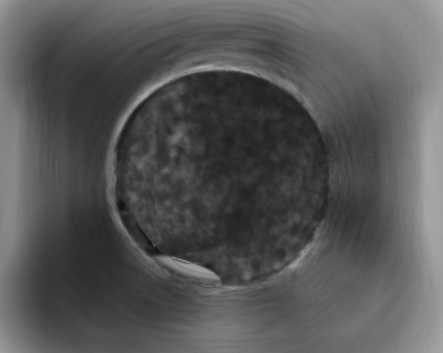 X0000091731522200709141215