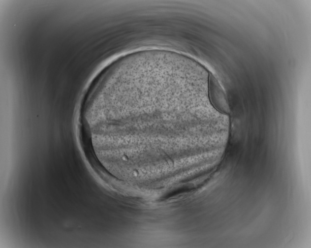 X0000091731523200709141215