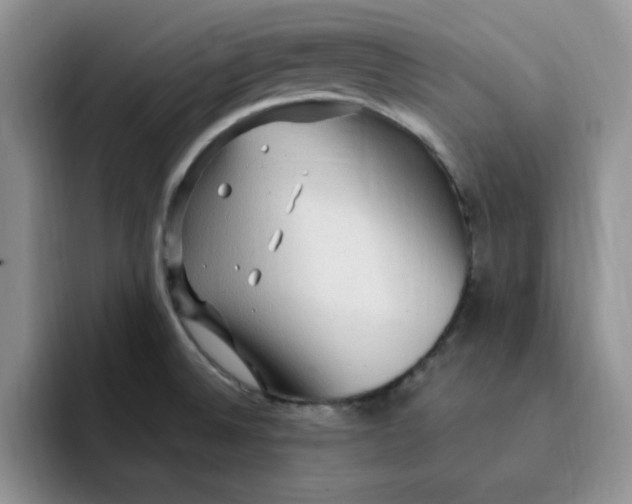 X0000091731524200709141215