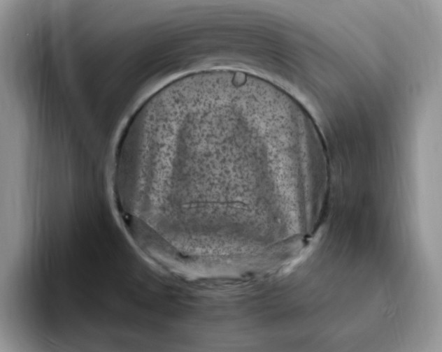 X0000091731525200709141215