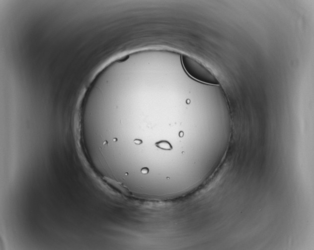 X0000091731526200709141215