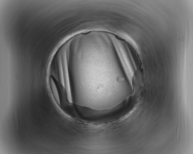 X0000091731528200709141215