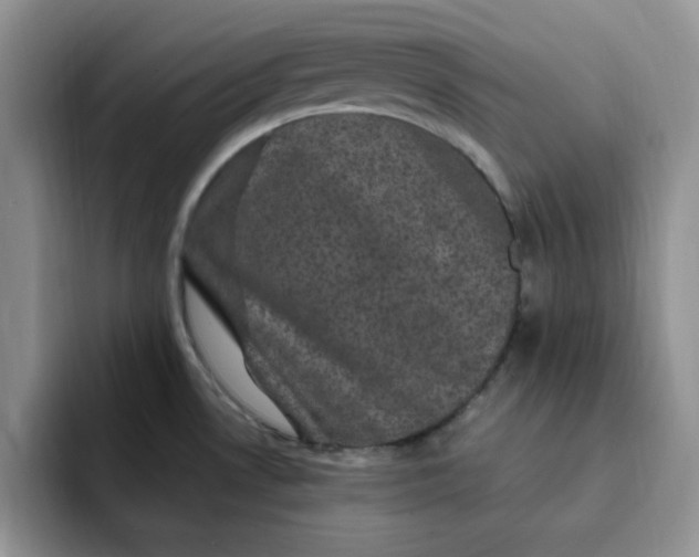 X0000091731530200709141215