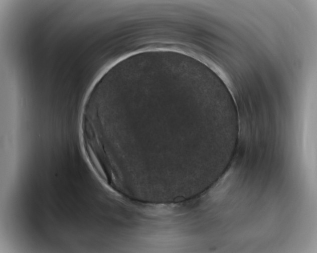 X0000091731533200709141215