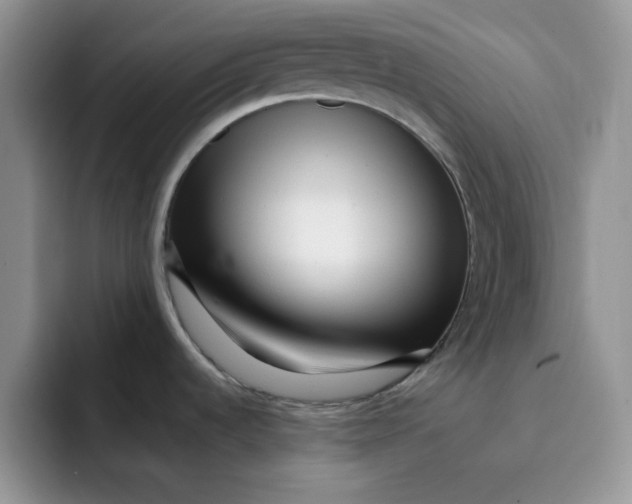 X0000091731536200709141215