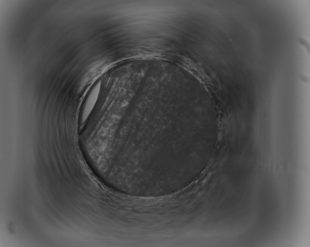 X0000091730002200709211029