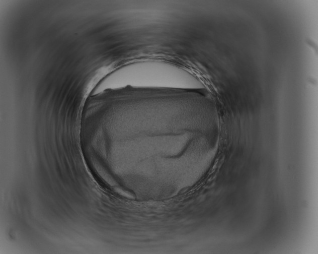 X0000091730003200709211029