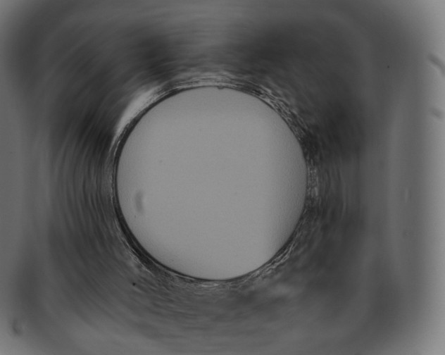 X0000091730004200709211029