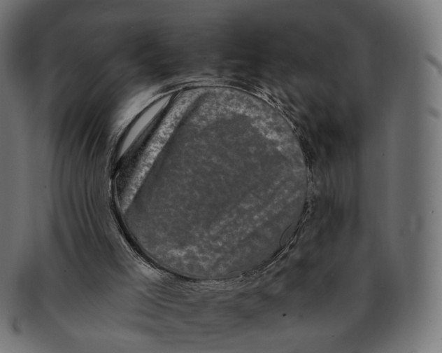 X0000091730005200709211029