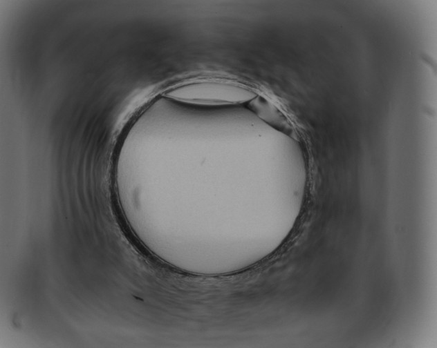 X0000091730007200709211029