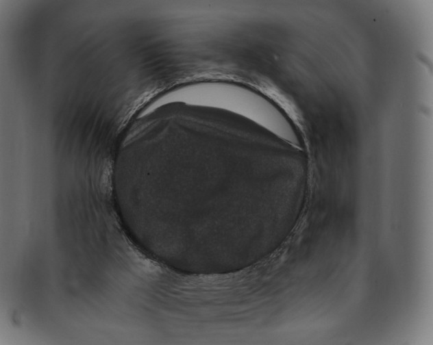 X0000091730009200709211029