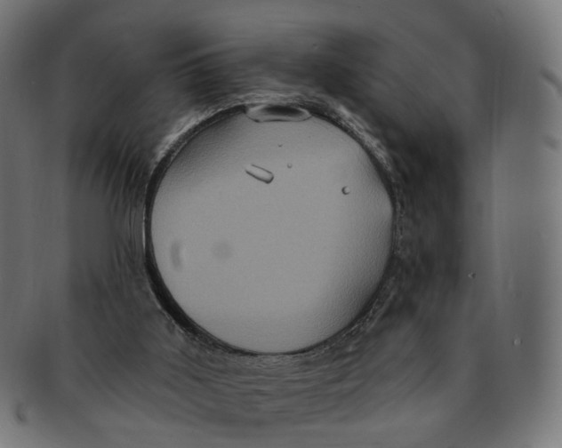 X0000091730011200709211029