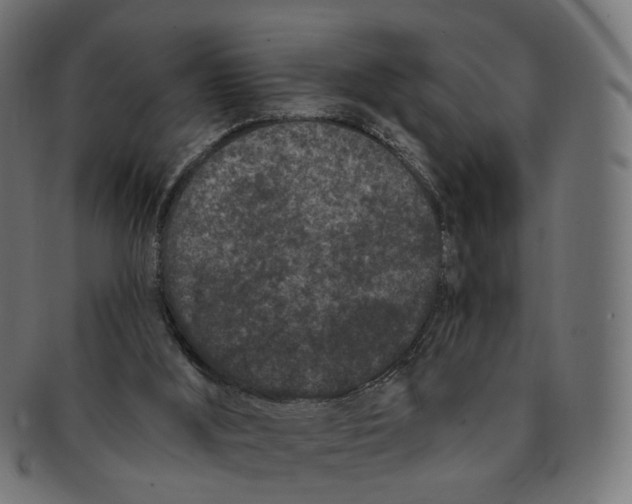 X0000091730012200709211029