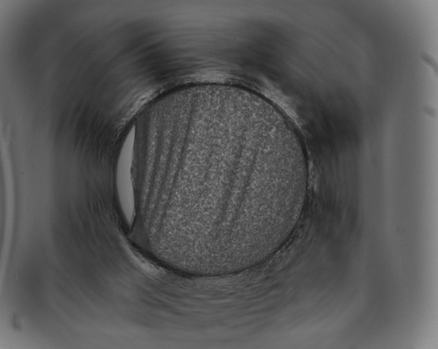 X0000091730013200709211029