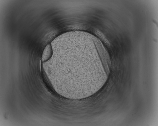 X0000091730014200709211029