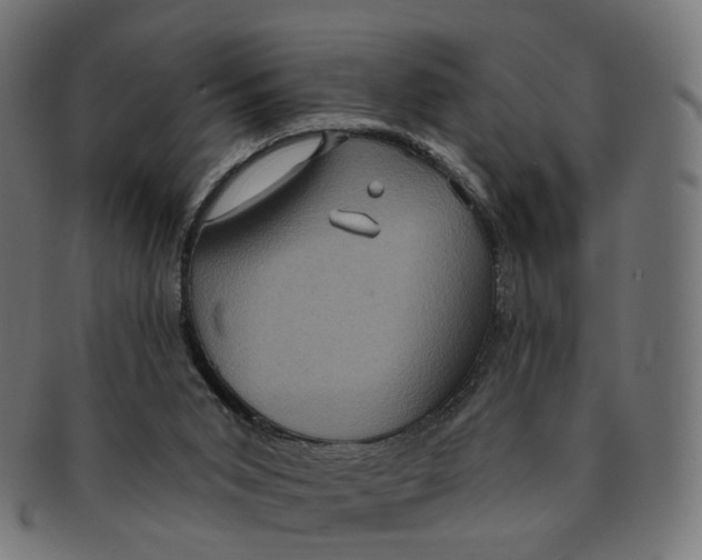 X0000091730015200709211029