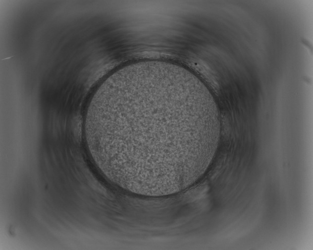 X0000091730016200709211029