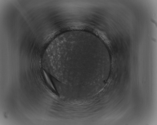 X0000091730017200709211029