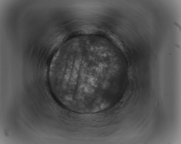 X0000091730018200709211029