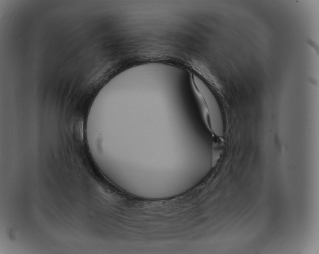 X0000091730021200709211029