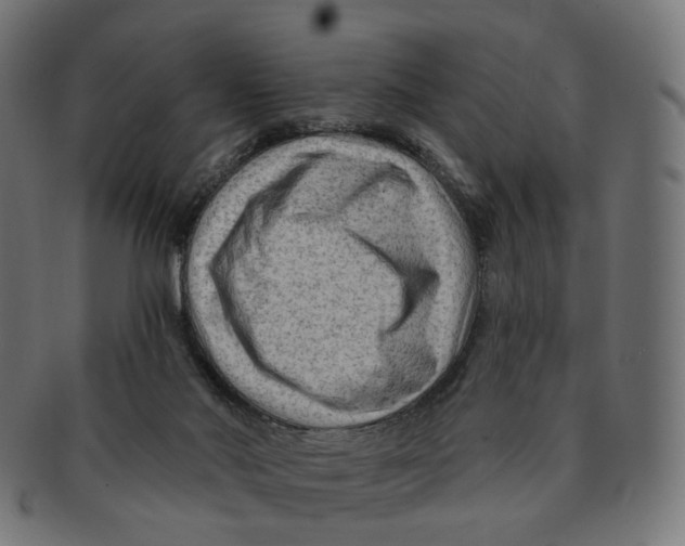 X0000091730022200709211029