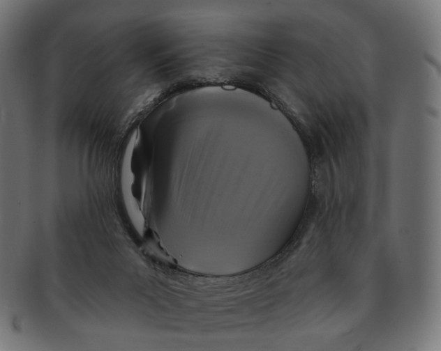 X0000091730023200709211029