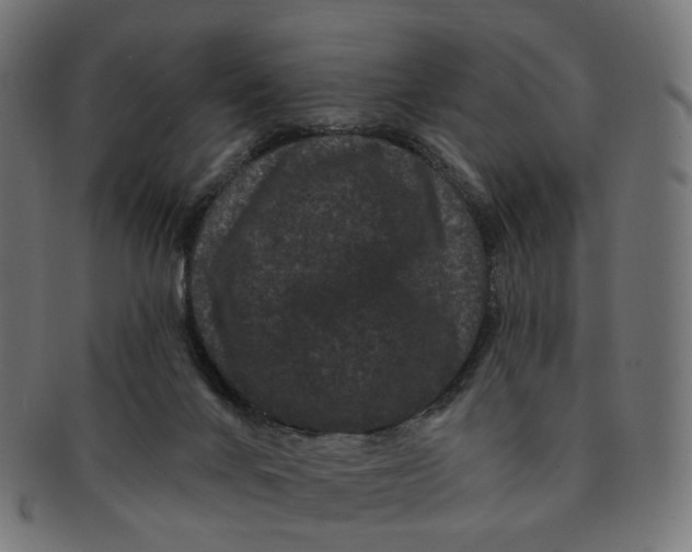 X0000091730024200709211029