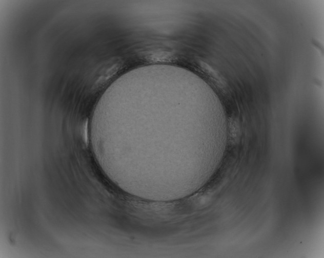 X0000091730028200709211028