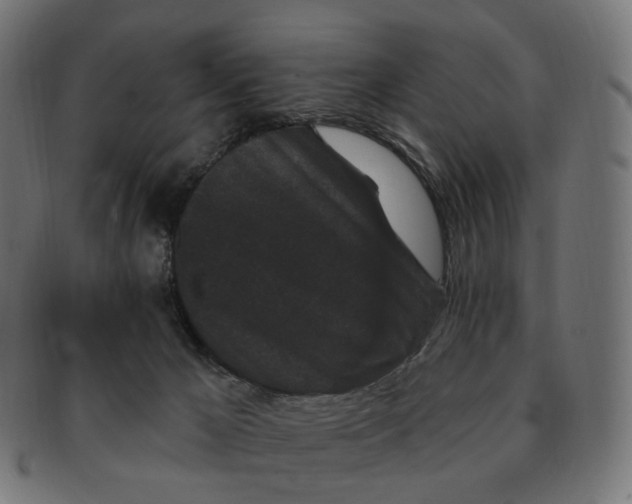 X0000091730029200709211028