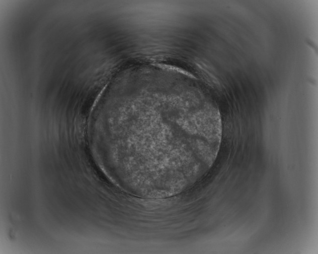 X0000091730030200709211028