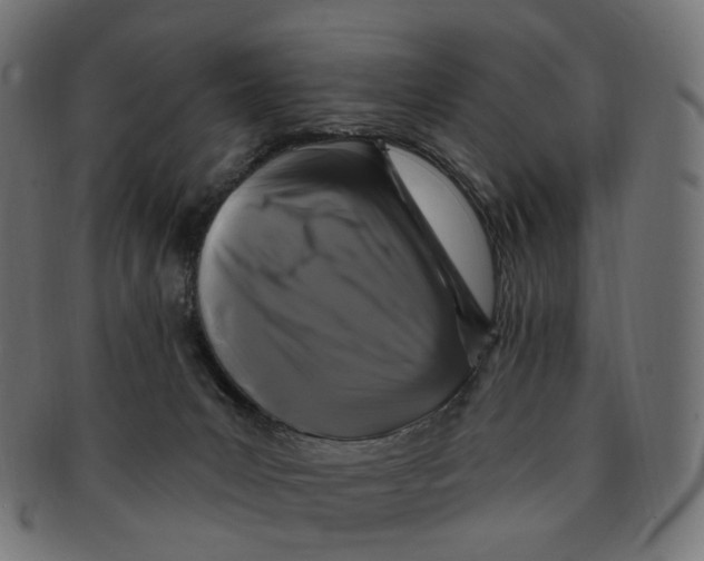 X0000091730031200709211028