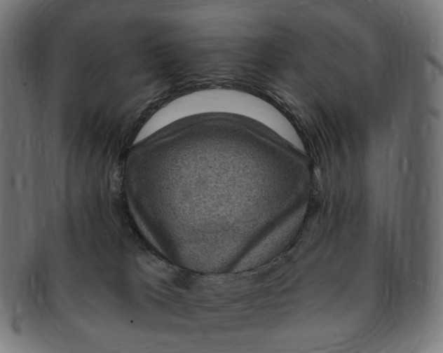 X0000091730037200709211028