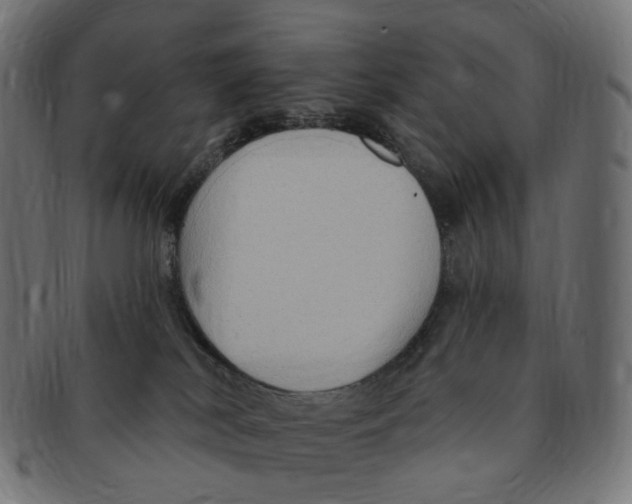 X0000091730038200709211028