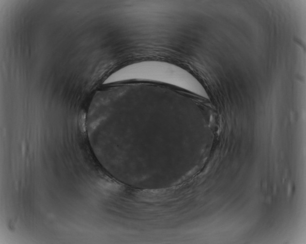 X0000091730041200709211028