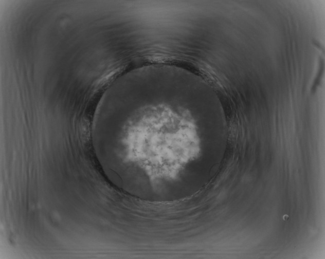 X0000091730043200709211028