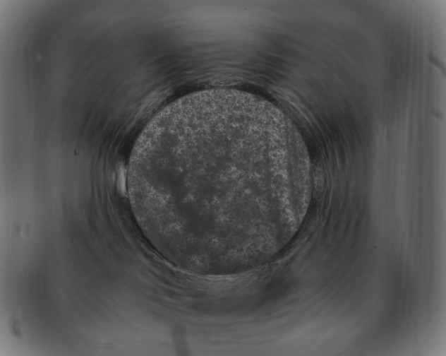 X0000091730046200709211028