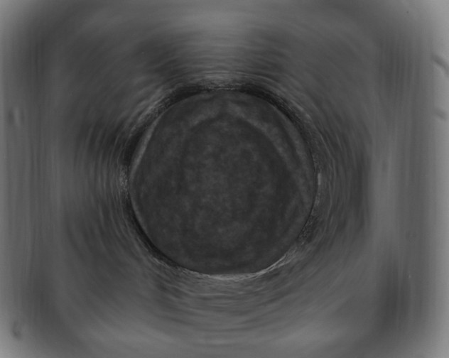 X0000091730048200709211028