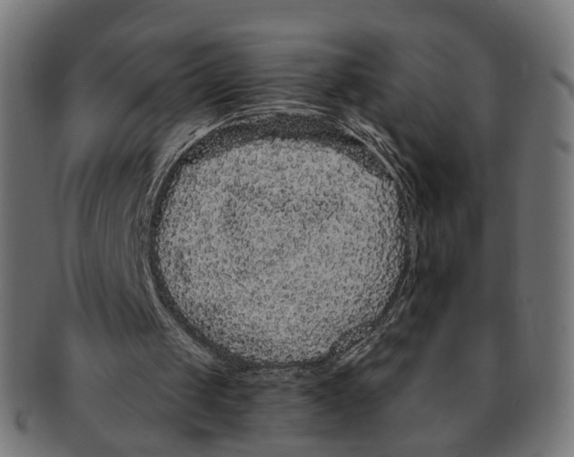 X0000091730049200709211028