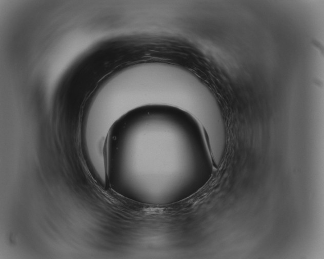 X0000091730052200709211028