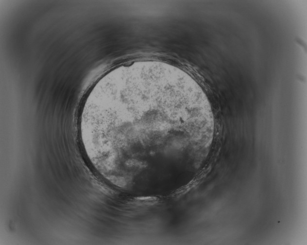 X0000091730053200709211028