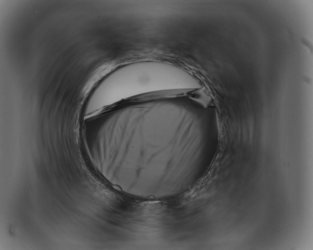 X0000091730054200709211028