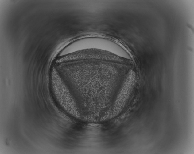 X0000091730055200709211028