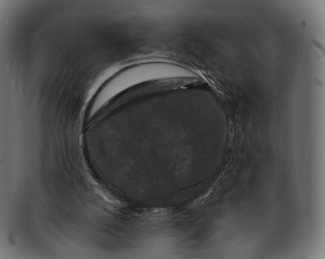 X0000091730056200709211028