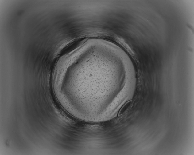 X0000091730058200709211028