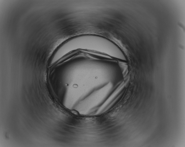 X0000091730060200709211028