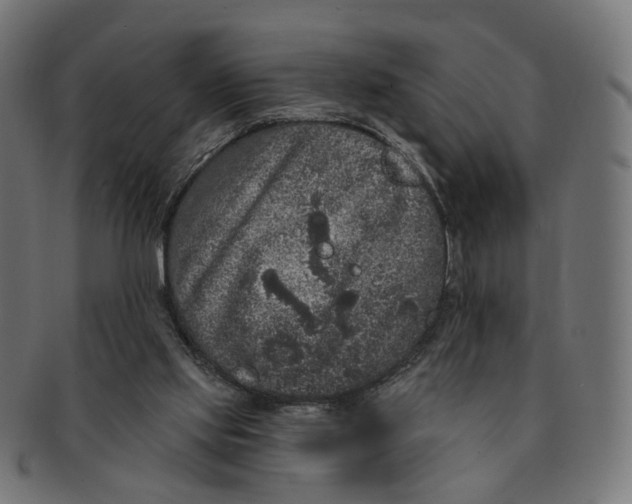 X0000091730061200709211028